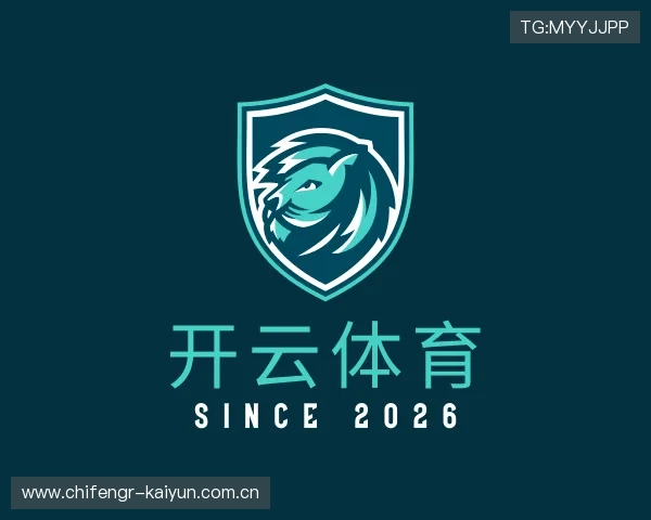 发现开云体育app下载